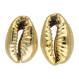 Muschel Perlen – Kaurimuschel UV-Beschichtet – Light Gold - PerlineBeads