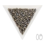 Rizo Glasperlen - 2,5 x 6 mm - Metallic Zinc Iris - PerlineBeads SA