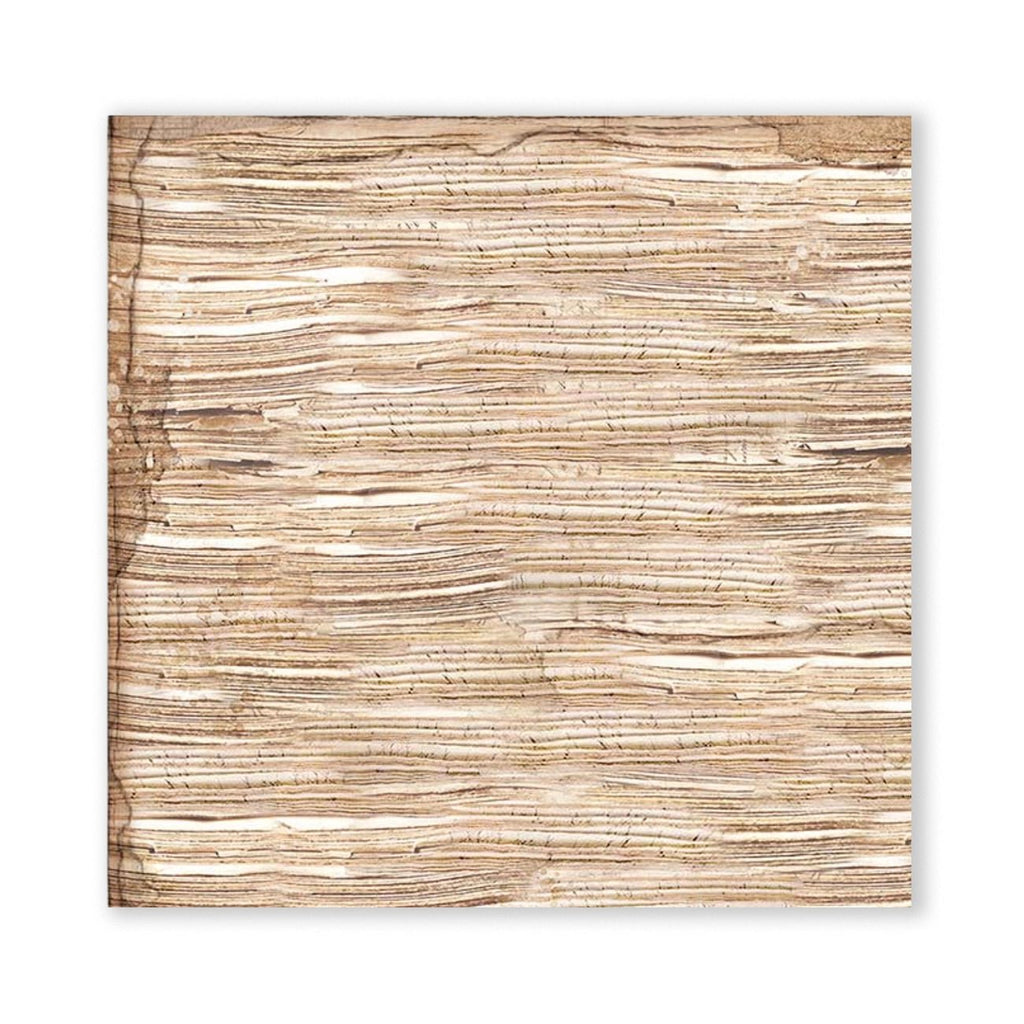 Scrapbook-Block "Vintage Library" Backgrounds - Double Face - 10 Seiten - 30,5 x 30,5 (12x12 inch) - perlinebeads.ch