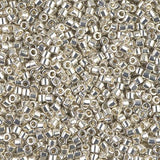 Delica 10/0 - DBM0035 - Galvanized Silver - PerlineBeads